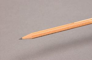 最大89名の利用が可能な屋形船